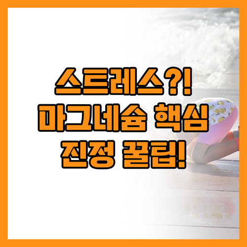 스트레스 불안감 마그네슘으로 낮추는 ..