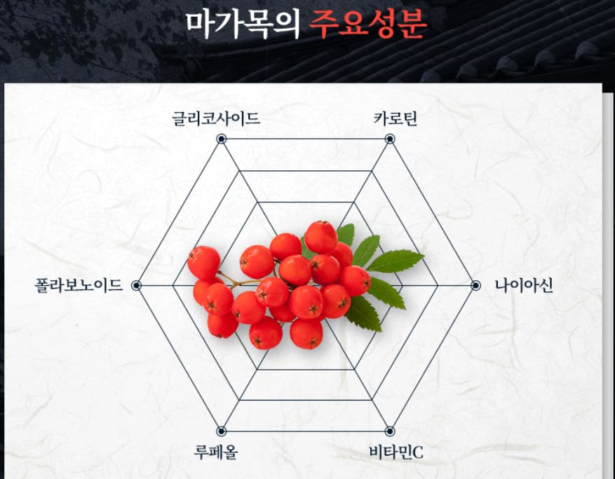 마가보감