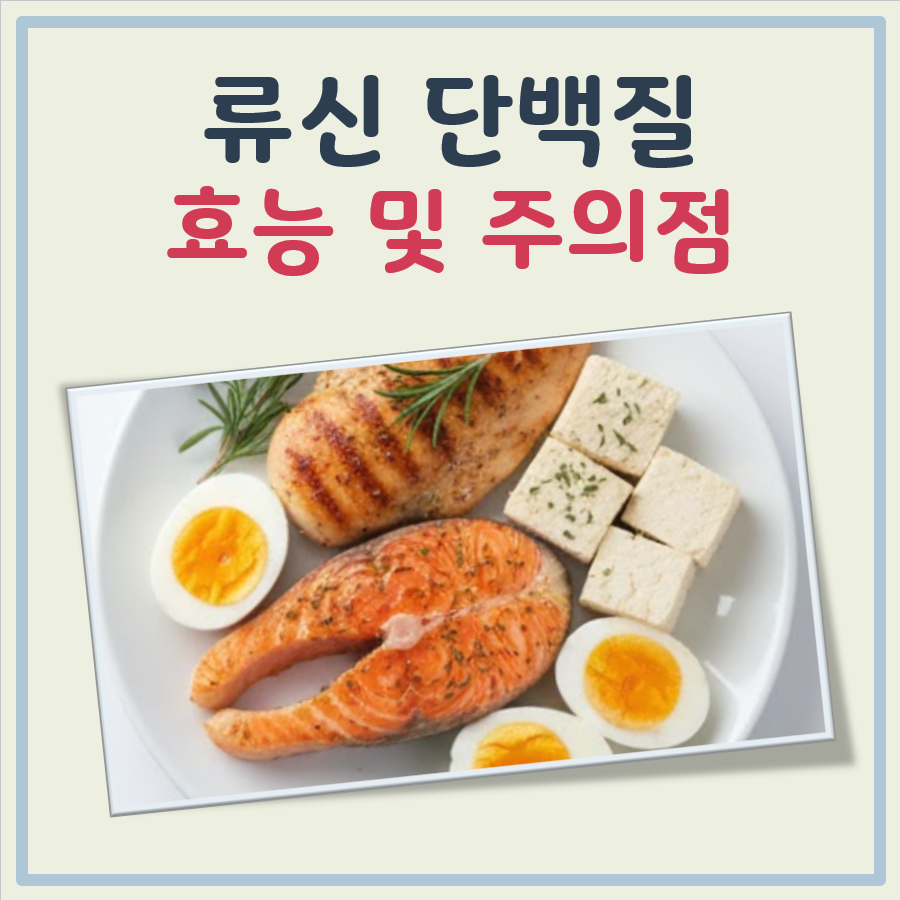 류신 단백질 효능 대표 이미지