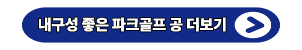파크골프 공