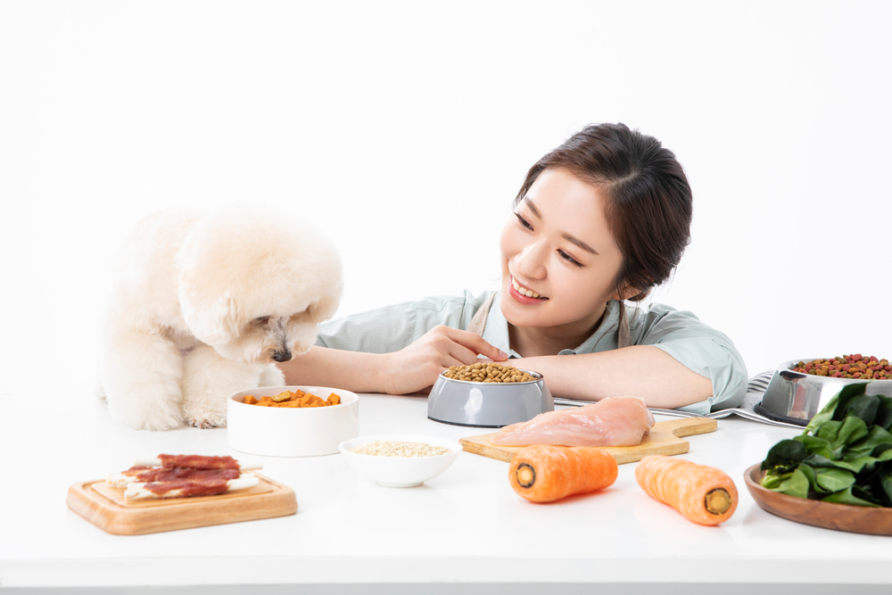 강아지 사료 고르는법