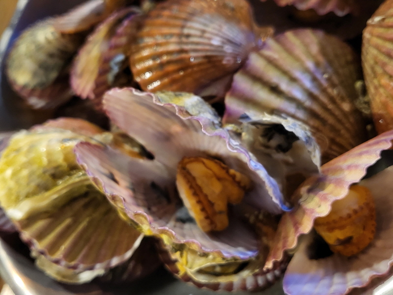 가리비 찜 맛집 방배동 스마일포차 가리비 찜