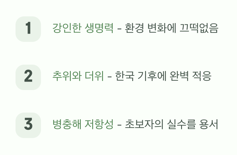 초보 집사의 든든한 파트너