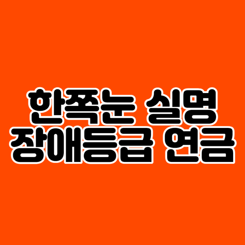 한쪽눈 실명 국민연금 장애등급