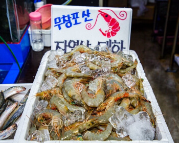 무창포 대하 전어축제_20