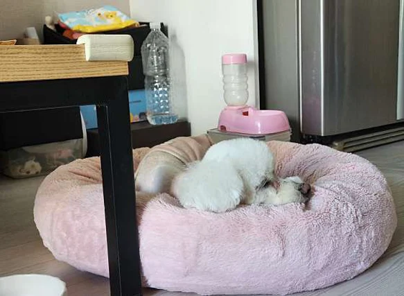 24시 일산우리 동물의료센터
