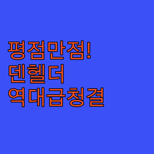테설 섬 관문 덴 헬더에서 평점 만점..