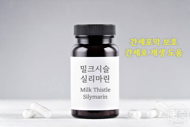 피곤할때 좋은 영양제 추천 밀크시슬 실리마린 40대영양제 50대영양제