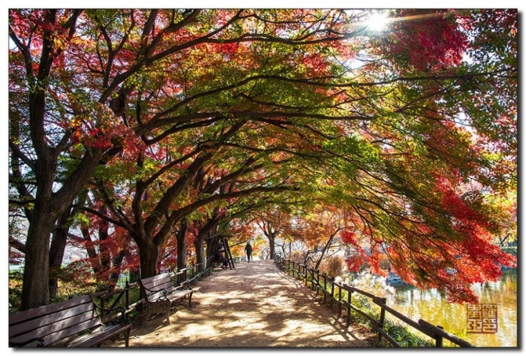 경남 단풍명소 TOP5 ❘ 가을 감성 가득한 산책 · 여행 · 데이트 추천 코스 관련 사진