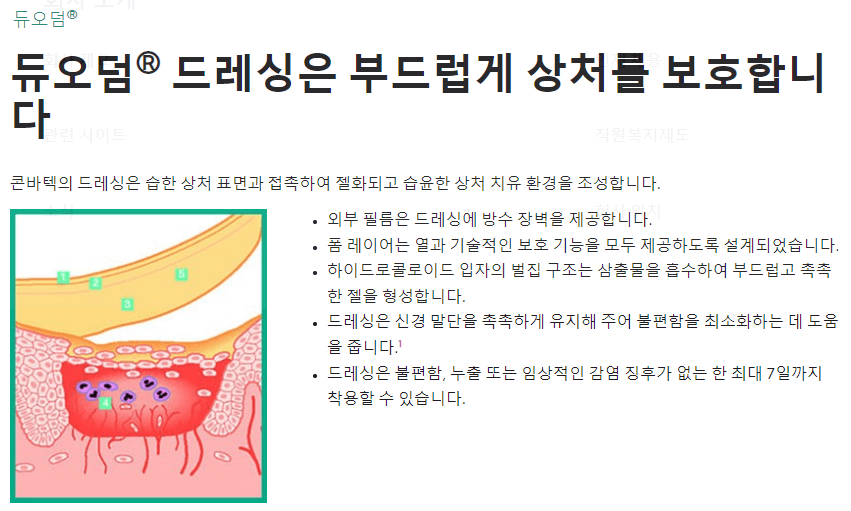 듀오덤 공식 홈페이지 설명