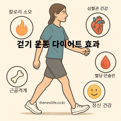 걷기 운동의 다이어트 효과를 시각적으로 표현한 일러스트 &ndash; 칼로리 소모, 심혈관 건강, 혈당&middot;인슐린 개선, 근골격계 강화, 정신 건강 효과