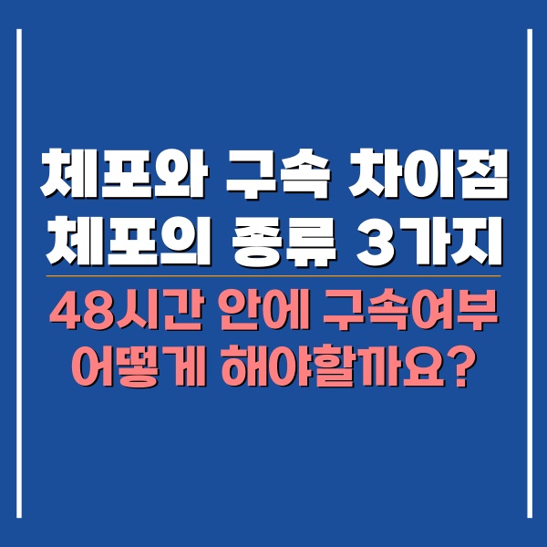 체포와 구속 차이점 관련 포스팅 썸네일