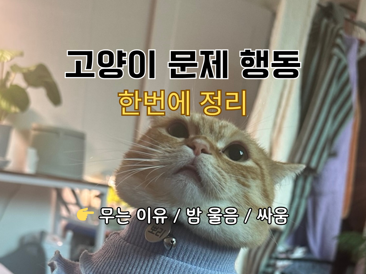 고양이 문제행동 무는 이유 밤마다 우는 이유 싸움 오줌테러 원인