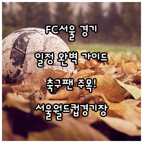 축구팬 주목! FC서울 경기 일정 &