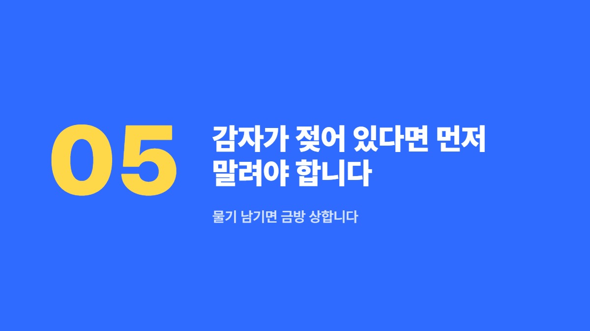 감자가 젖어 있다면 먼저 말려야 합니다 — 물기 남기면 금방 상합니다