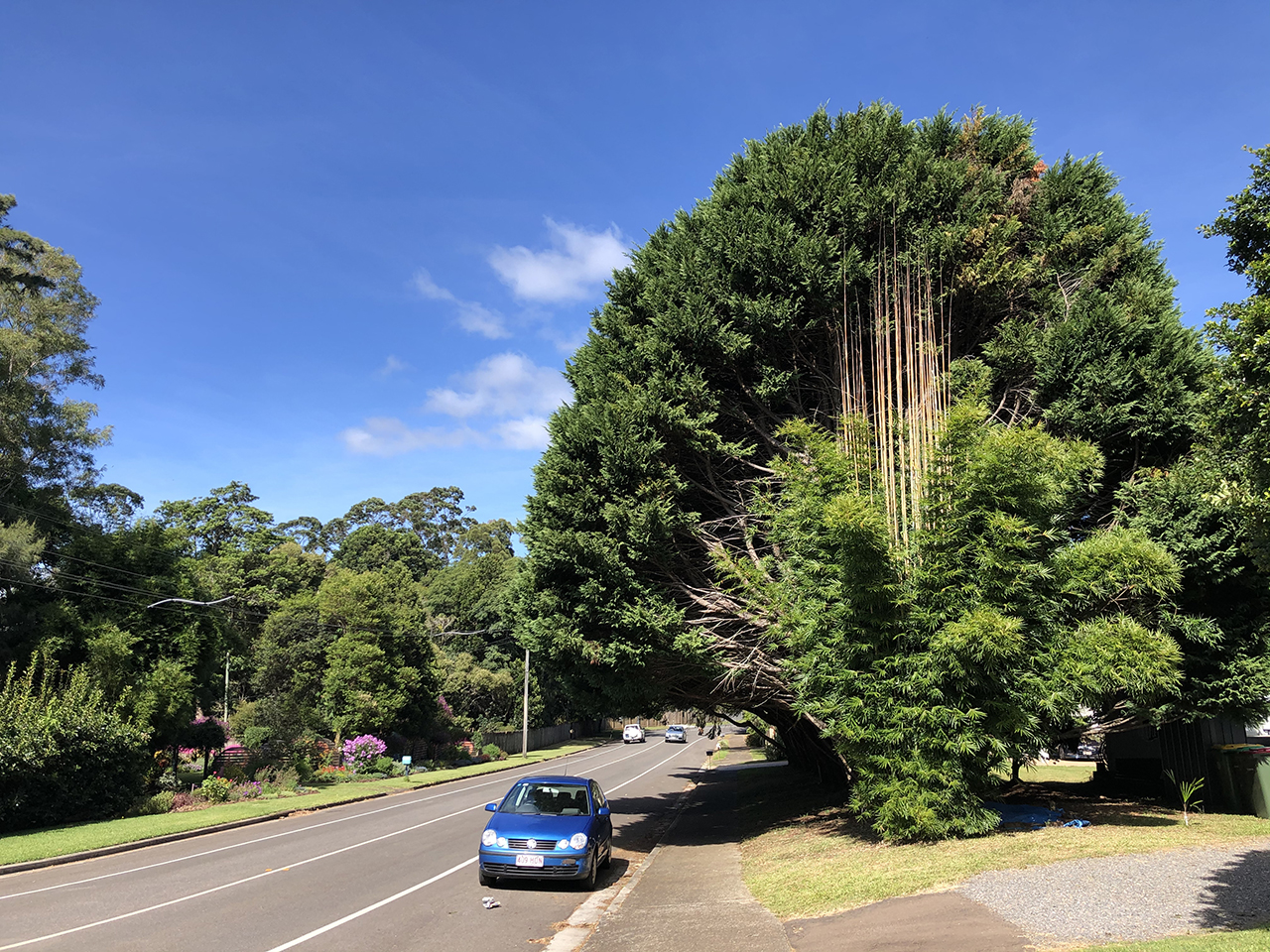 도보로 20분 이동