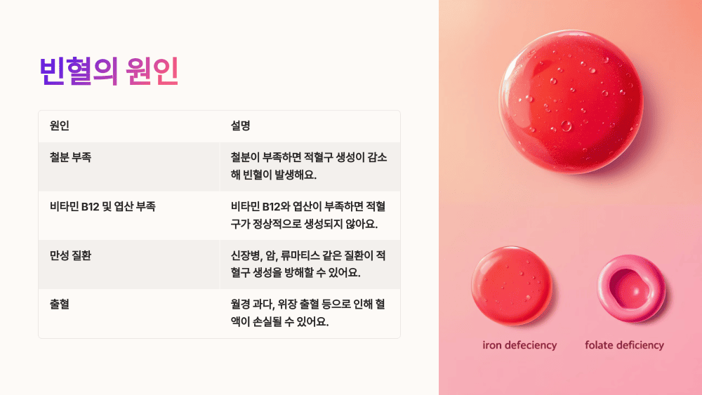 빈혈의 원인