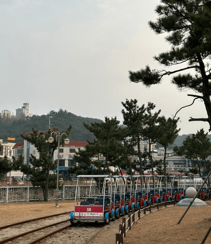 해돋이 명소 여행