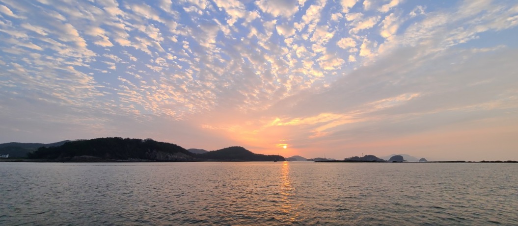 오늘N 이 맛에 산다 낭도 서대회무침 맛집 낭도원조맛집