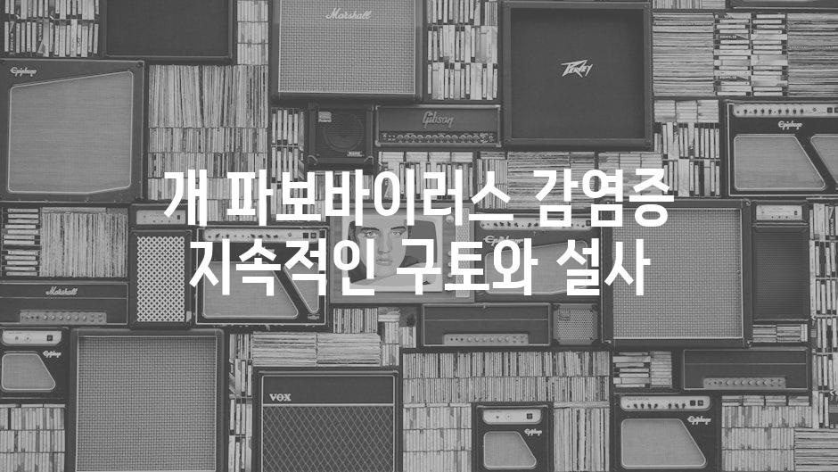 개 파보바이러스 감염증 지속적인 구토와 설사