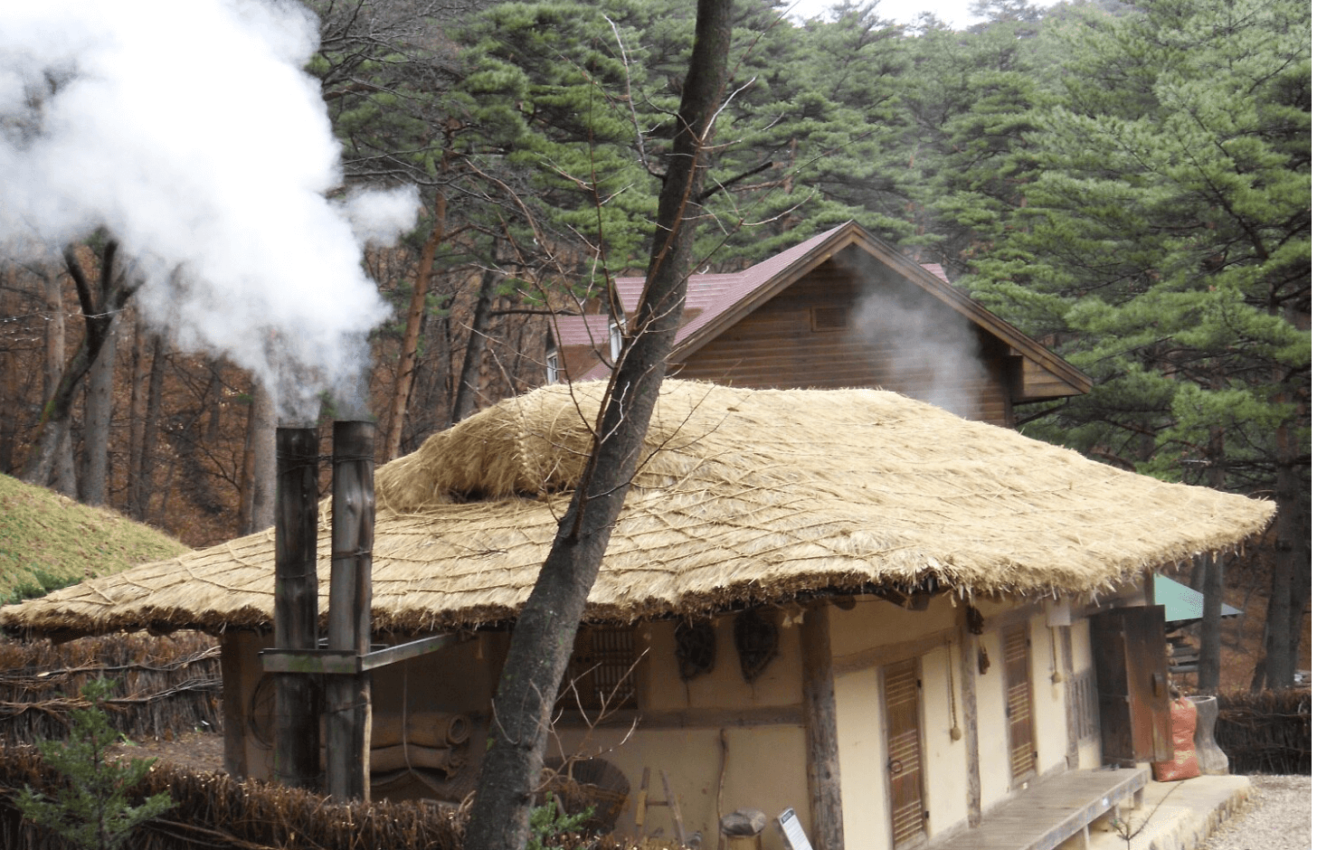국립자연휴양림 