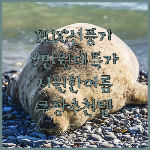 삼성 BLDC 7엽 선풍기 SFN-W