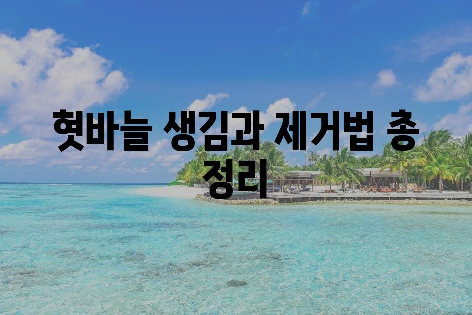 샘플 (72)
