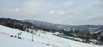 평창 가볼만한곳 베스트10 완벽 자연 여행_22