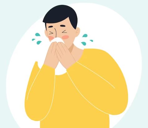 지르텍-비염약-추천