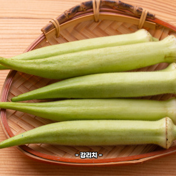 오크라 효능