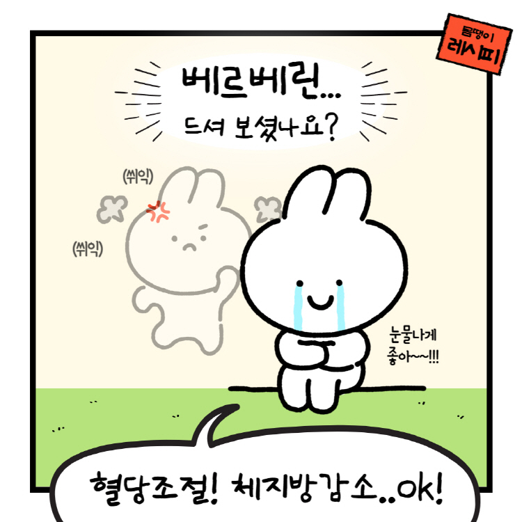 베르베린 효능 복용법 : 혈당·콜레스테롤 효율적 개선 팁