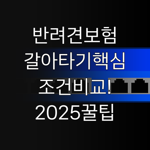 2025년 반려견 보험 갈아타기 총정..