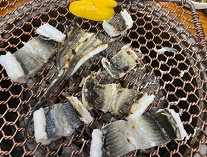 붕장어소금구이