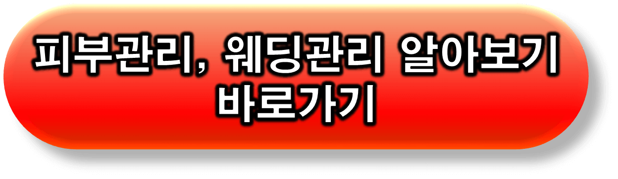 피부관리 웨딩관리 글 링크 버튼