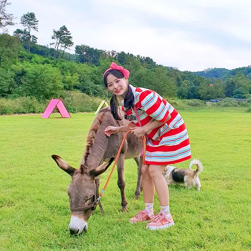 내가 사는 세상 궁금해터 느티나무 그물 놀이터와 귀여운 당나귀 농장 창의 교감 놀이터 여행 코스 가볼만한 곳 추천