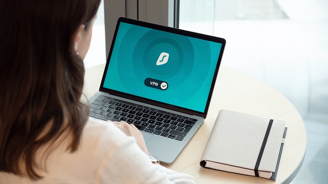 무료 VPN 유료 VPN 비교