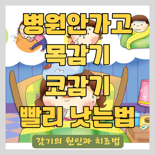 의사가 알려주는 목 아프고 콧물 나올 때 병원 가지 않고 빨리 낫는 법 - 감기 예방과 치료법 썸네일