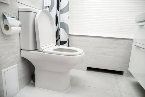 화장실 사용 후 변기 뚜껑을 닫고 물을 내려야 하는 이유, 플룸 현상, 위생 방법