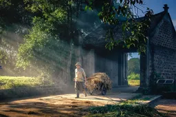 2026년 최저임금 주휴 수당