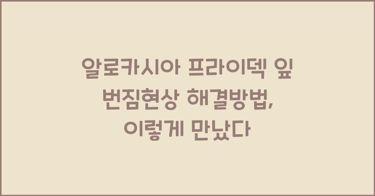 알로카시아 프라이덱 잎 번짐현상 해결방법