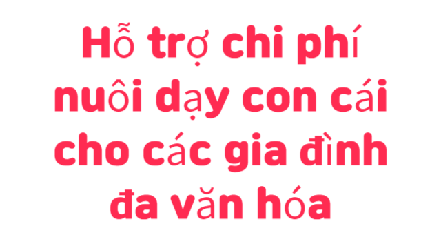 Chính phủ Hàn Quốc sẽ hỗ trợ chi phí nuôi dạy con hàng tháng miễn phí cho các gia đình đa văn hóa.
