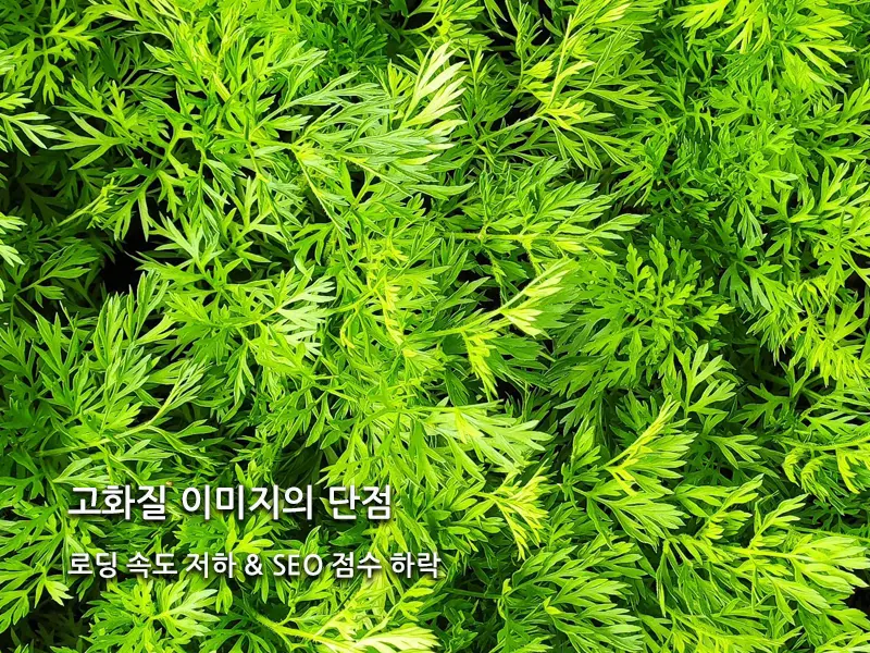 고화질 이미지 사용의 단점