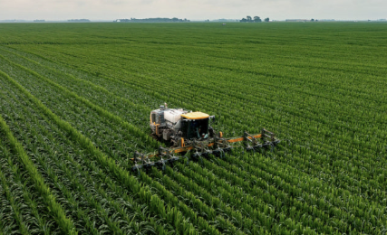 2025 농업직불금 지급시기 신청방법 부정수급 핵심정리