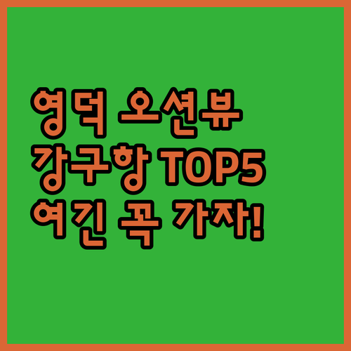영덕 숙소 추천 TOP 5 강구항 근..
