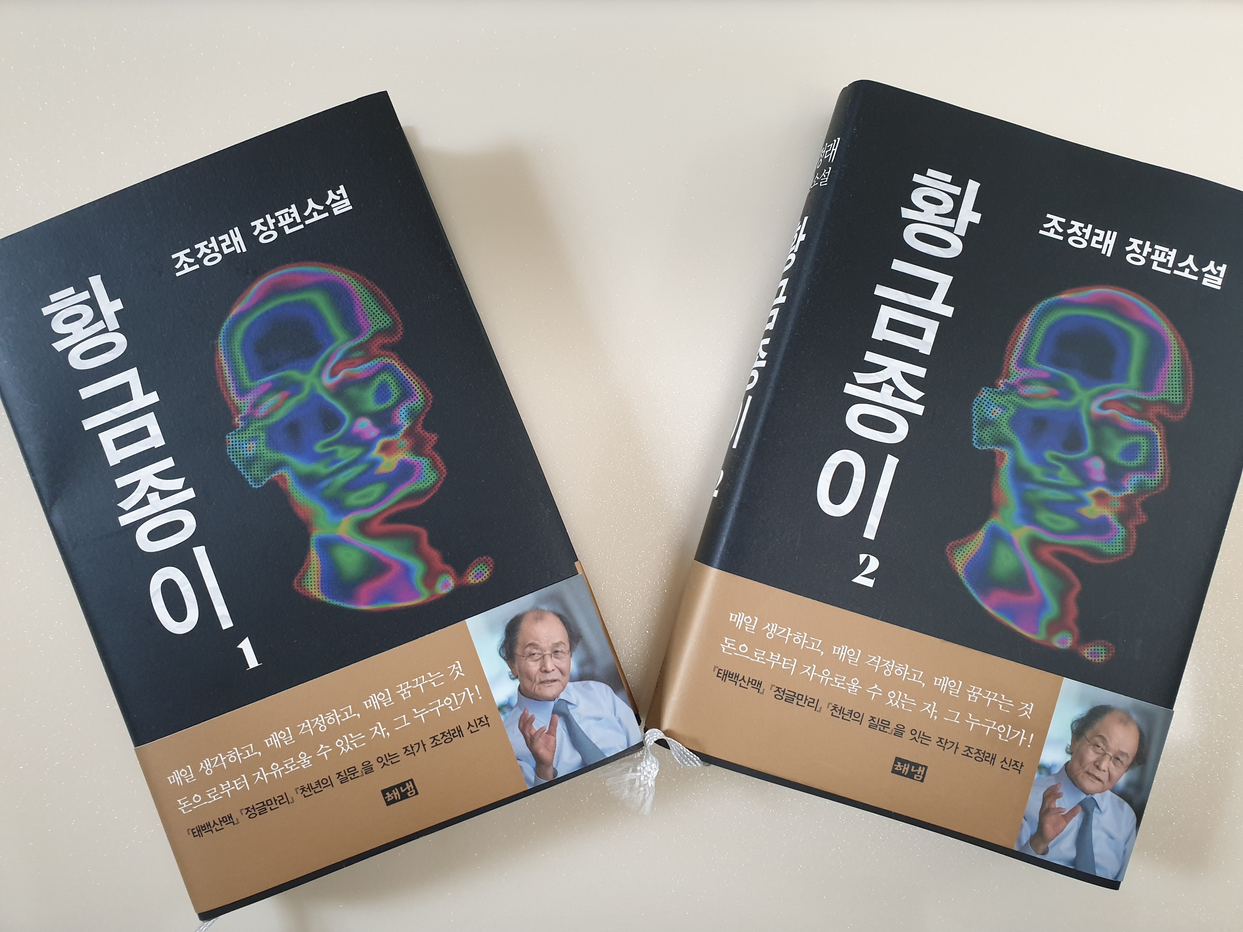 조정래 작가의 소설 황금종이