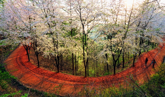 대전 가볼만한곳 베스트10