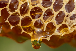 프로폴리스 복용 시 주의사항