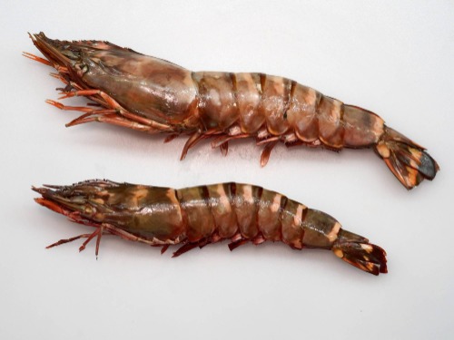 새우 효능 및 부작용