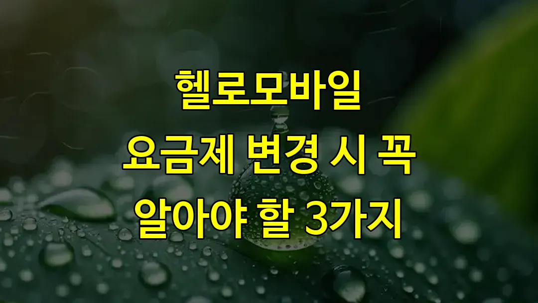 헬로모바일 요금제 변경 시 꼭 알아야 할 3가지