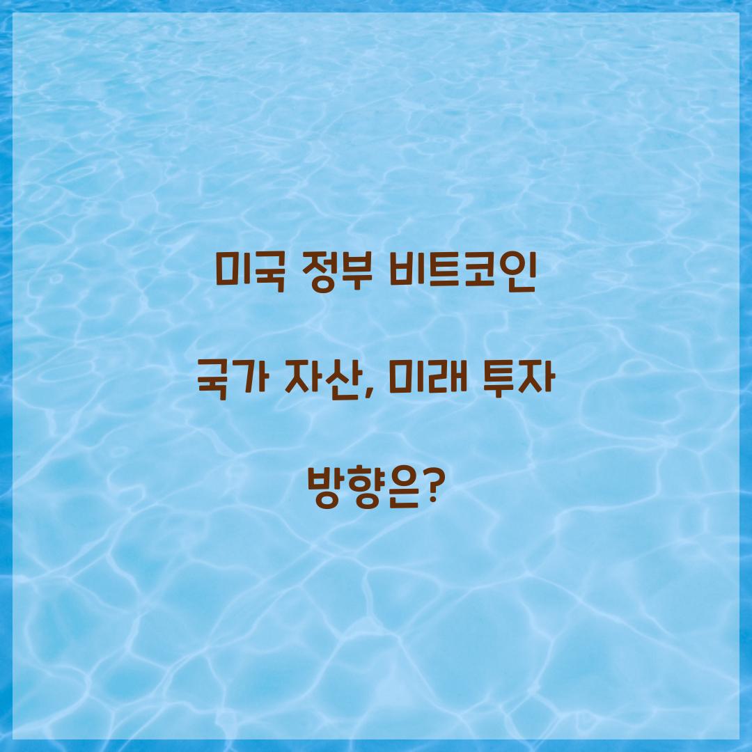 미국 정부 비트코인 국가 자산